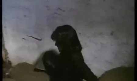 بازی در الاغ تنگ کانال تلگرام سکسی برازرس