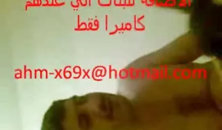 و زیبا, کانال تلگرام فیلم سینمایی سکسی عکس گربه,