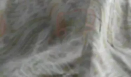انجمن تلگرا سکسی با زن چاق ژاپنی